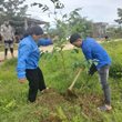 Tuổi trẻ Kông Chro trồng hơn 13.000 cây xanh